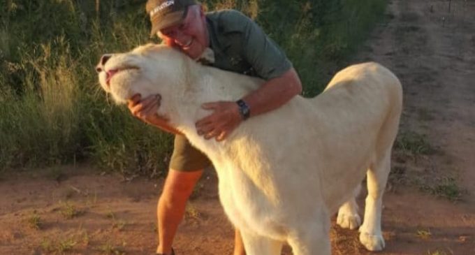 Lioness attacks and kills zoo worker in South Africa