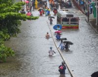 Mumbai Flooded After Heavy Overnight Rain, Trains Suspended