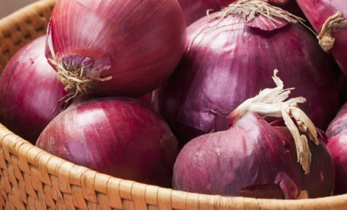 Govt bans export of onions with immediate effect