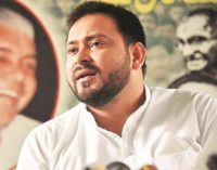 Bihar elections: Tejashwi works campaign crowd with promise of jobs and change